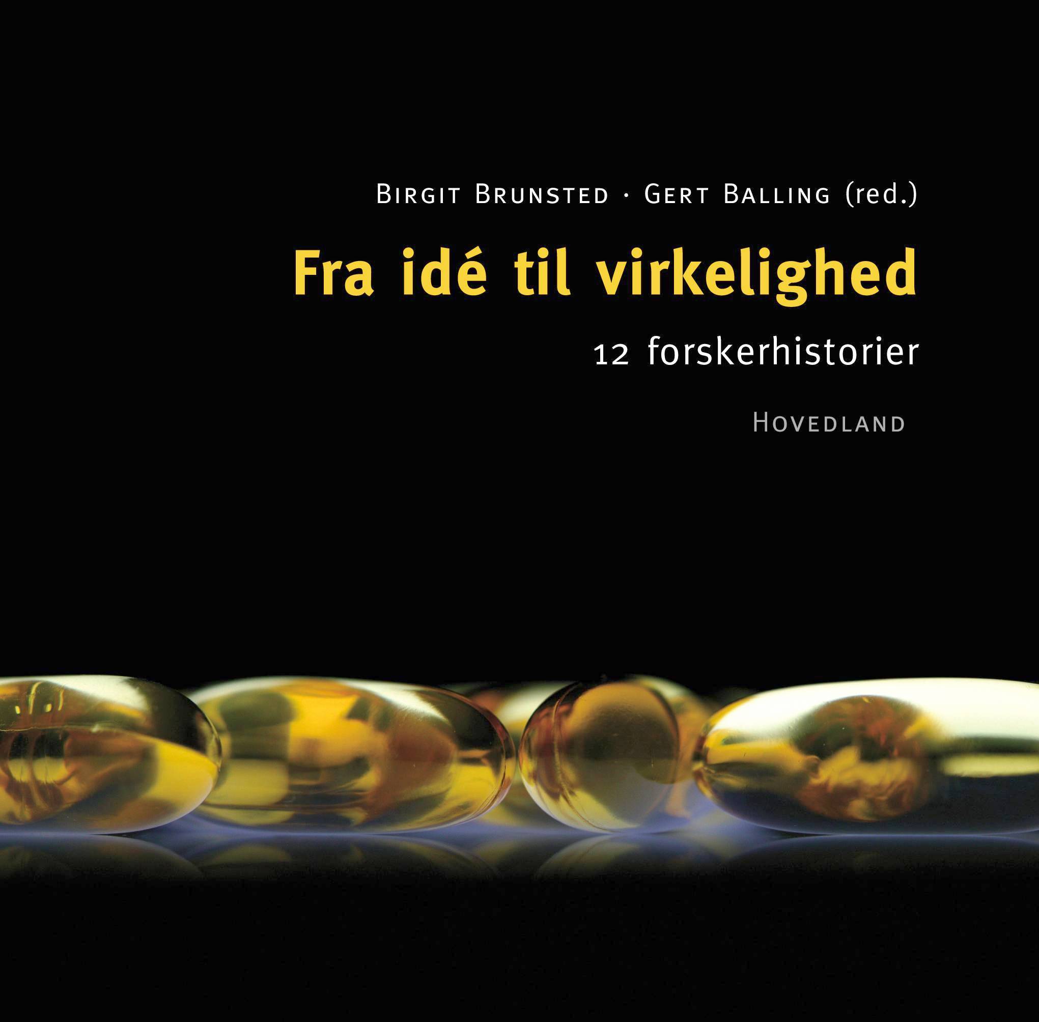 fra ide til virkelighed fra ide til virkelighed
